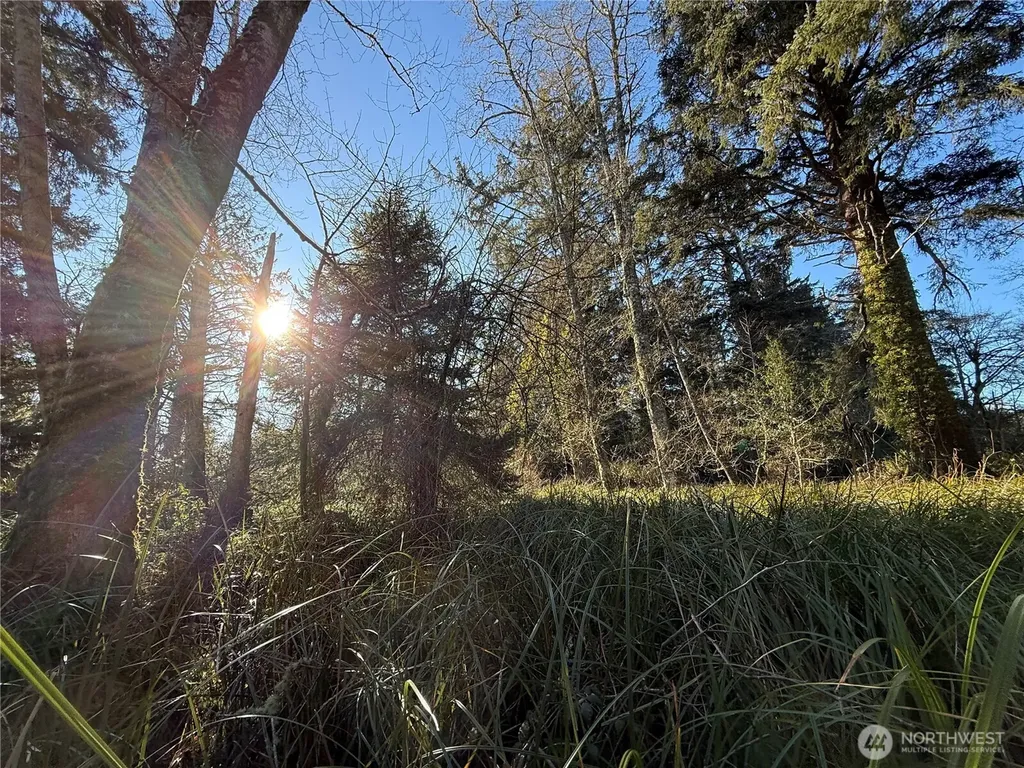 27399 Sandridge Road Ocean Park WA 98640
