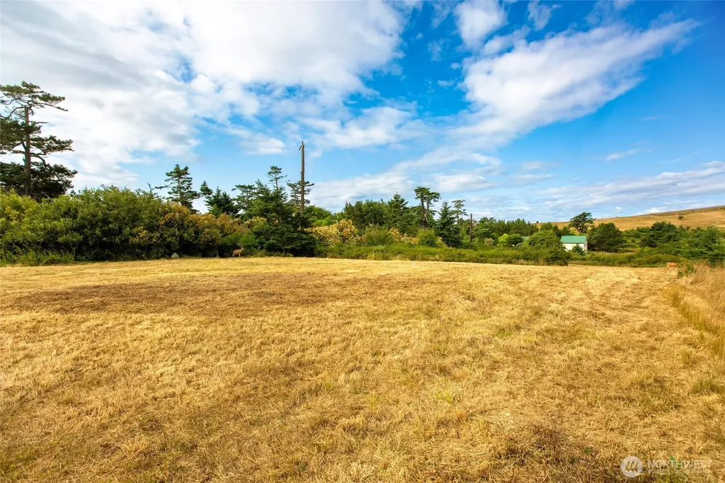86 Lighthouse Lane Friday Harbor WA 98250
