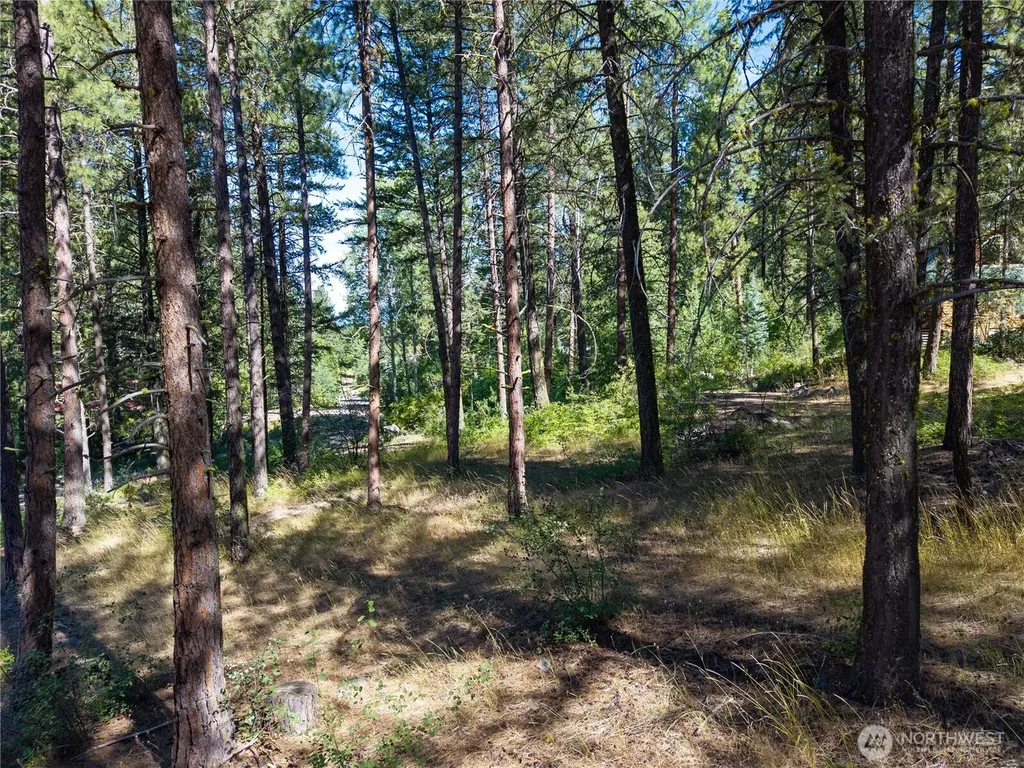 16 Highland Meadow Road Winthrop WA 98862