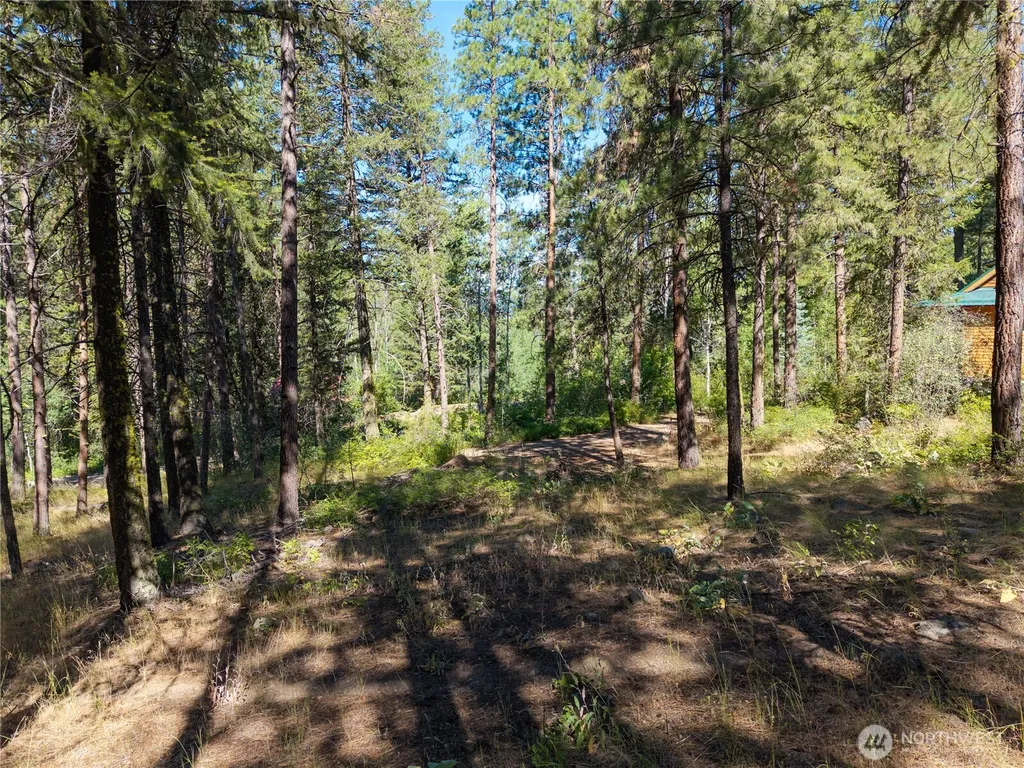 16 Highland Meadow Road Winthrop WA 98862