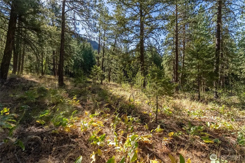 16 Highland Meadow Road Winthrop WA 98862