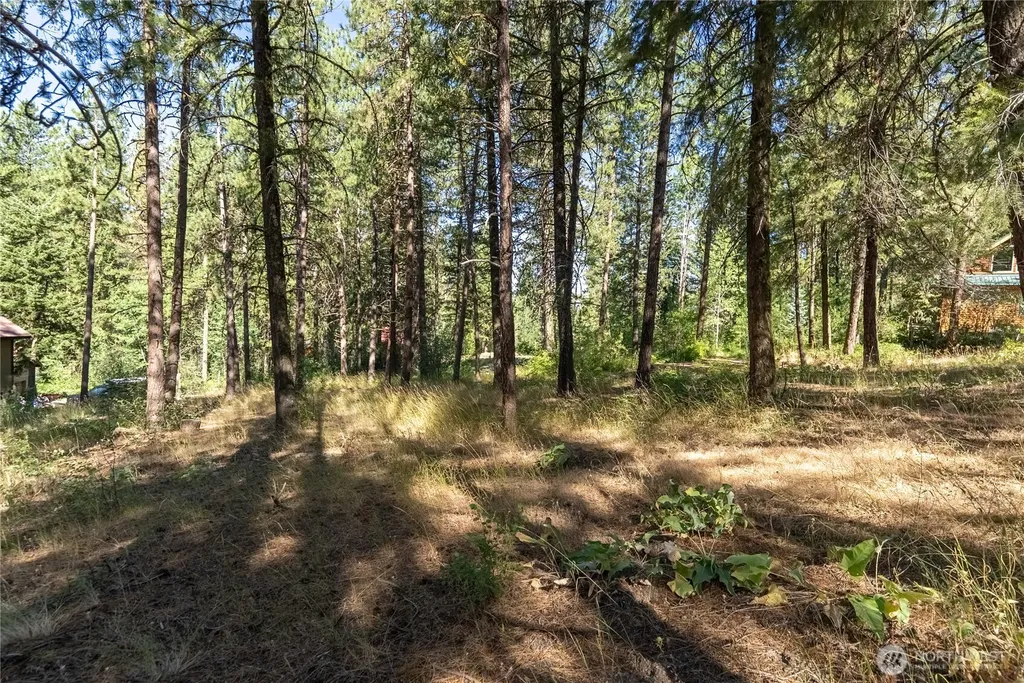 16 Highland Meadow Road Winthrop WA 98862
