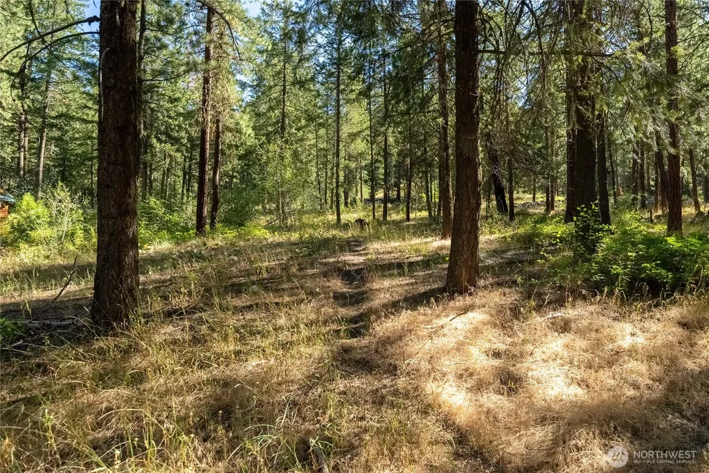 16 Highland Meadow Road Winthrop WA 98862