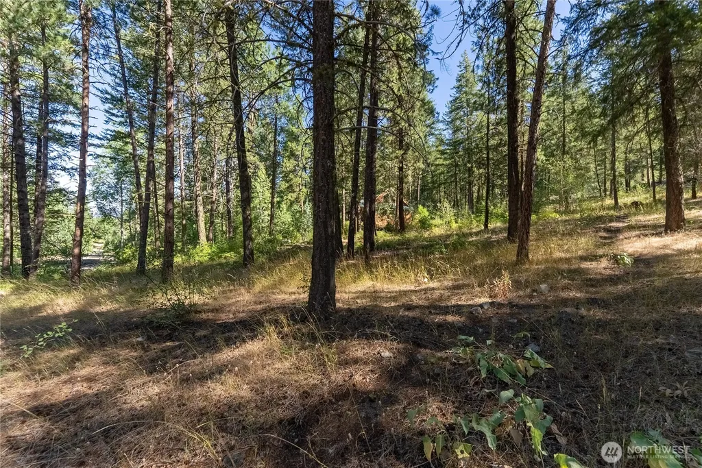 16 Highland Meadow Road Winthrop WA 98862