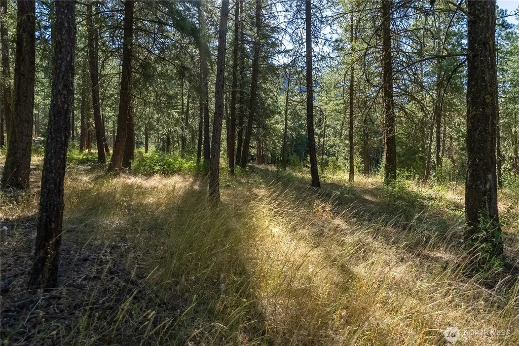 16 Highland Meadow Road Winthrop WA 98862