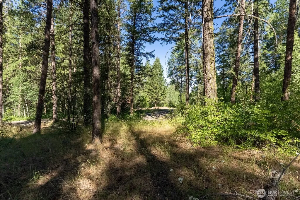 16 Highland Meadow Road Winthrop WA 98862