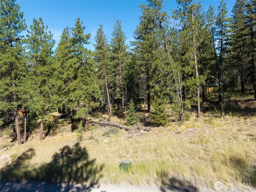 16 Highland Meadow Road Winthrop WA 98862