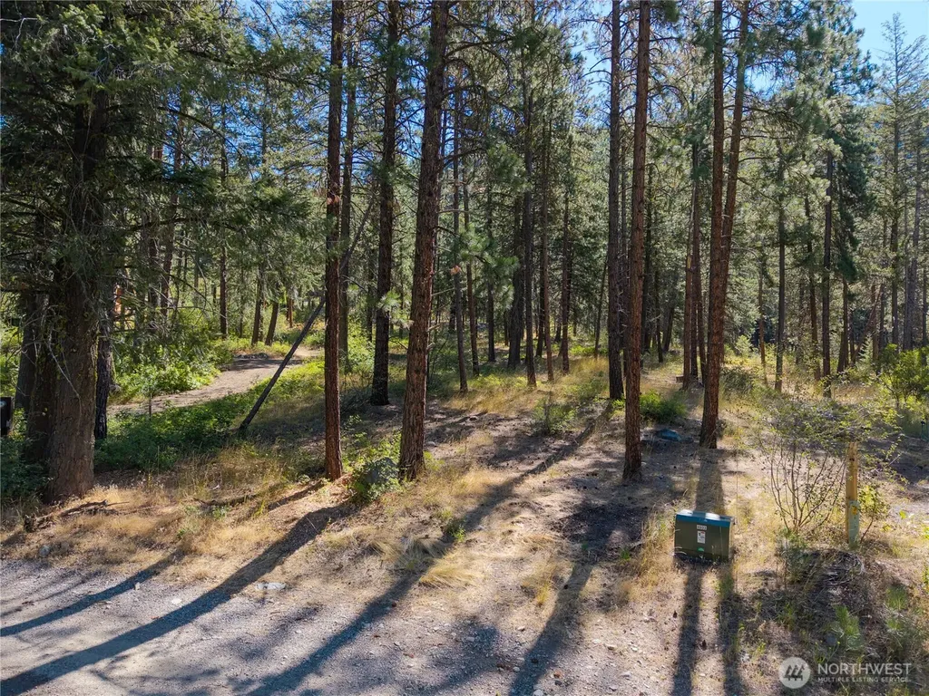 16 Highland Meadow Road Winthrop WA 98862