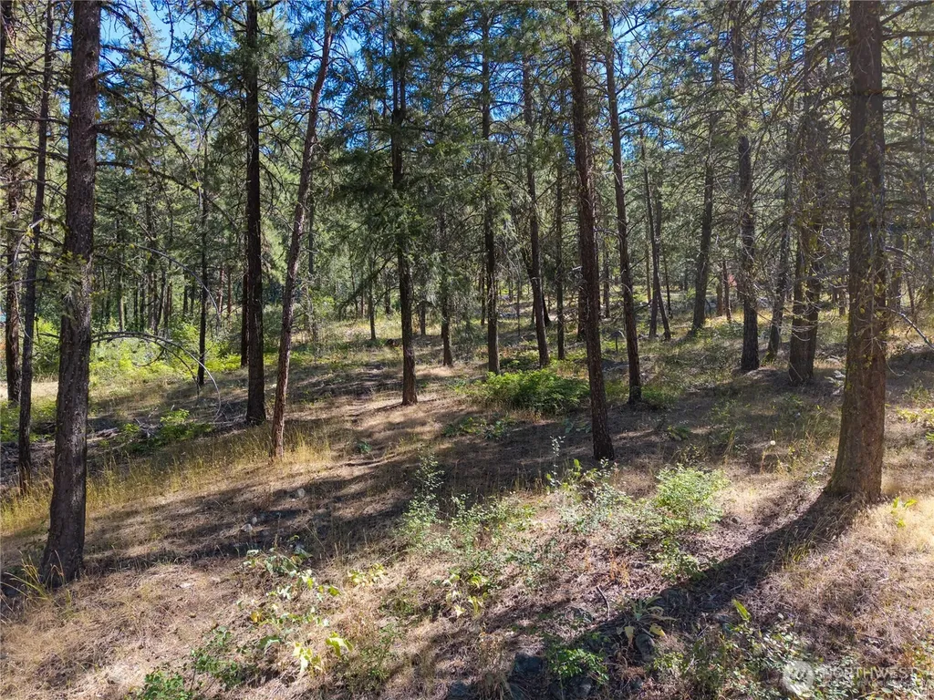 16 Highland Meadow Road Winthrop WA 98862