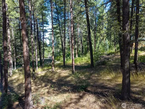 16 Highland Meadow Road Winthrop WA 98862