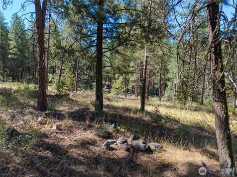 16 Highland Meadow Road Winthrop WA 98862