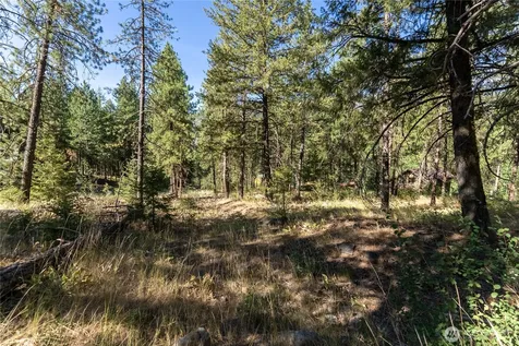 16 Highland Meadow Road Winthrop WA 98862