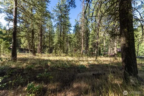 16 Highland Meadow Road Winthrop WA 98862