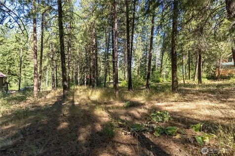 16 Highland Meadow Road Winthrop WA 98862