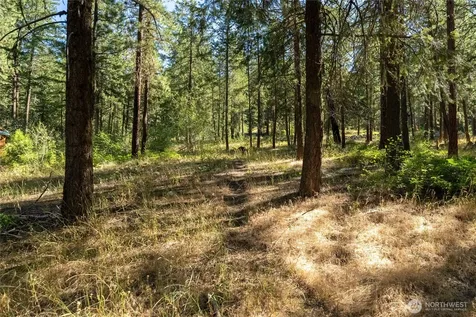 16 Highland Meadow Road Winthrop WA 98862