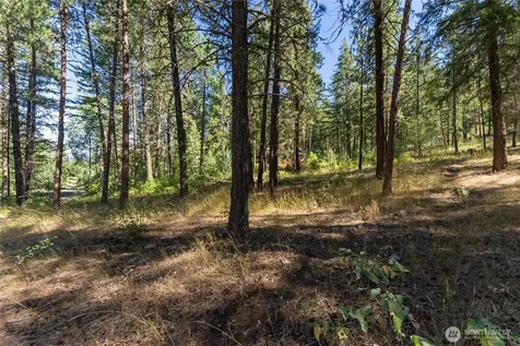 16 Highland Meadow Road Winthrop WA 98862
