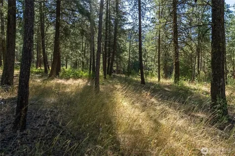16 Highland Meadow Road Winthrop WA 98862