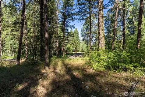16 Highland Meadow Road Winthrop WA 98862