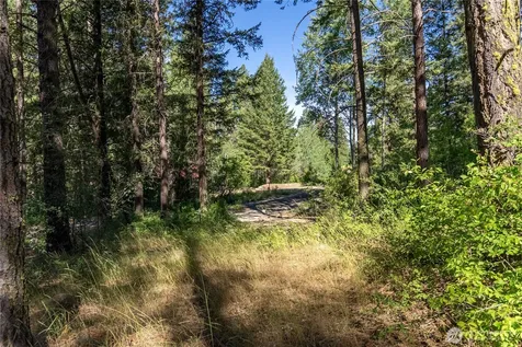 16 Highland Meadow Road Winthrop WA 98862