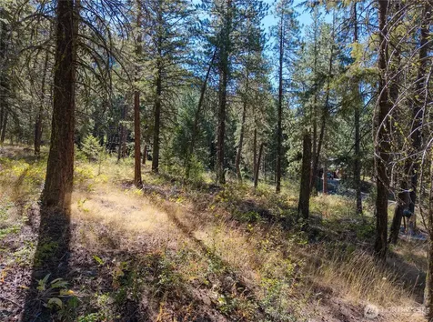 16 Highland Meadow Road Winthrop WA 98862