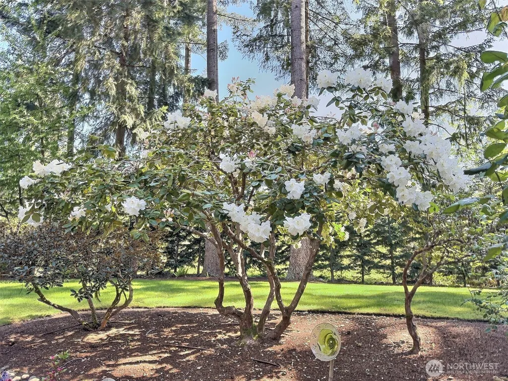 17517 SE 293rd Place Kent WA 98042