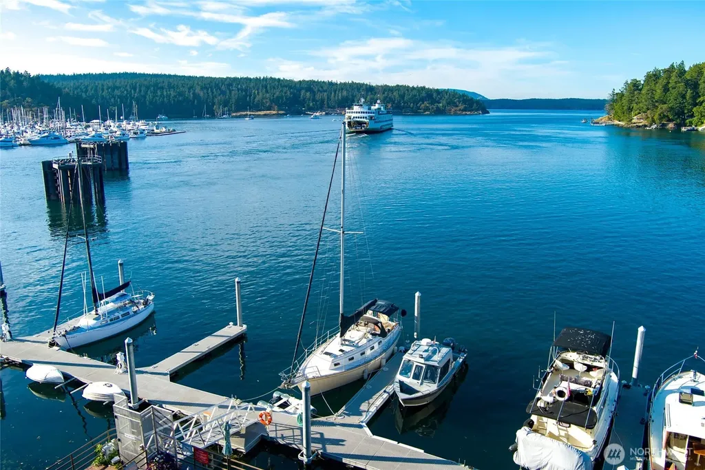 241 Warbass Way Friday Harbor WA 98250