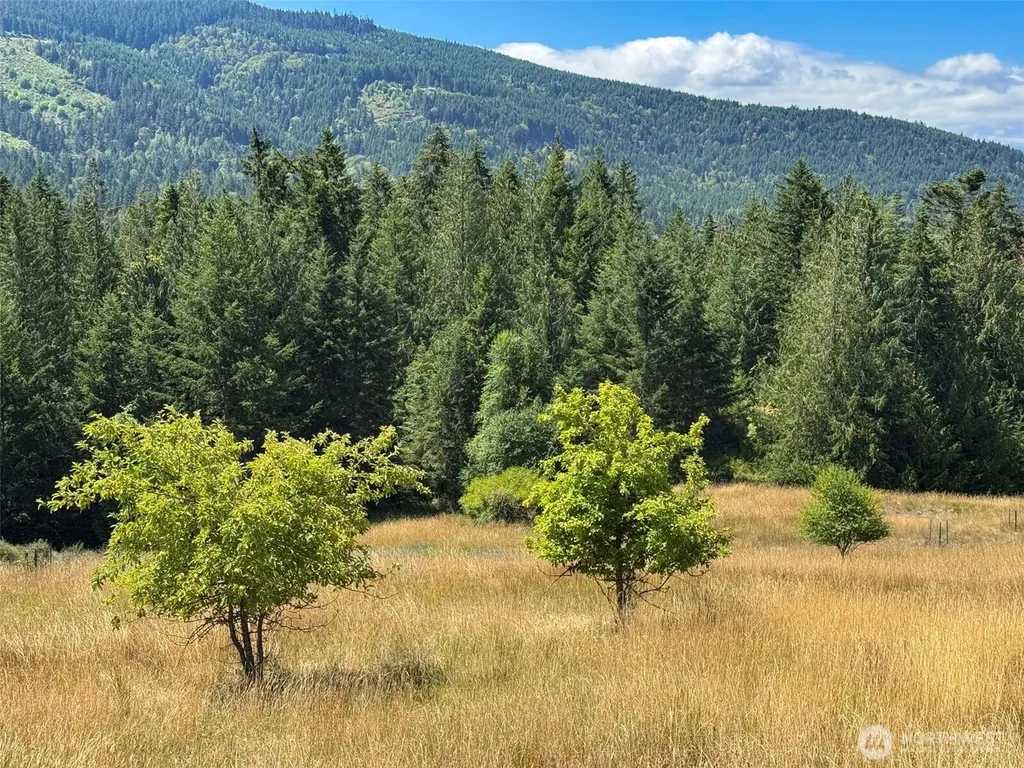 183 Hillside Drive Sequim WA 98382