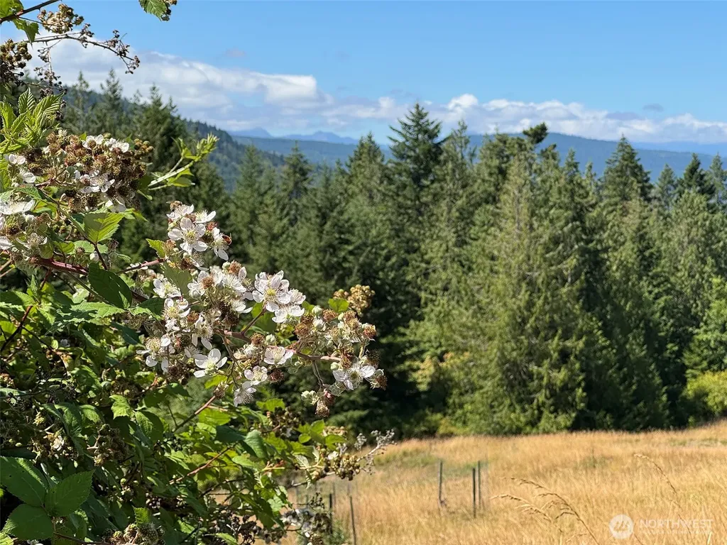 183 Hillside Drive Sequim WA 98382