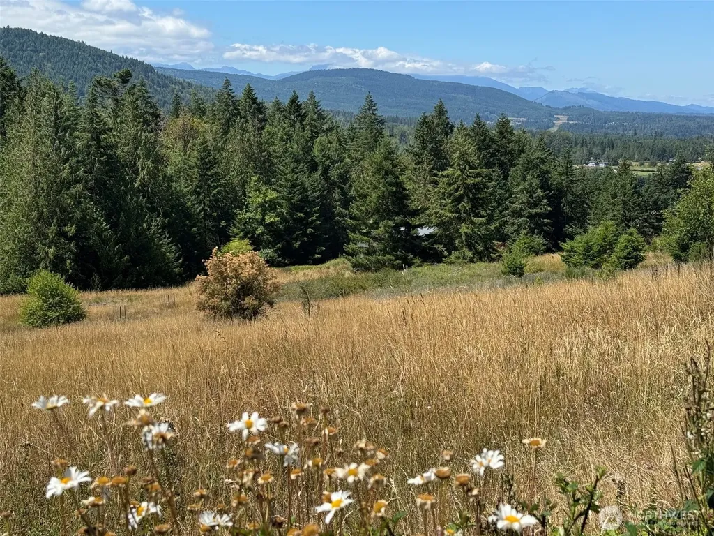183 Hillside Drive Sequim WA 98382