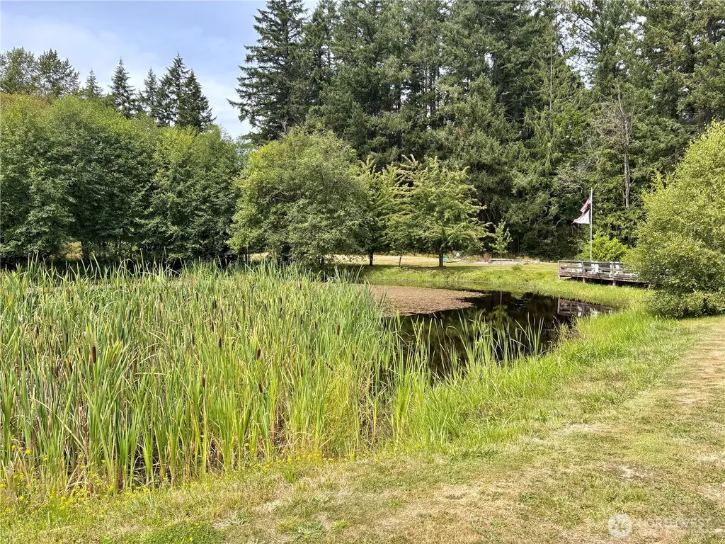 38519 Eatonville Cut Off Road E Eatonville WA 98328