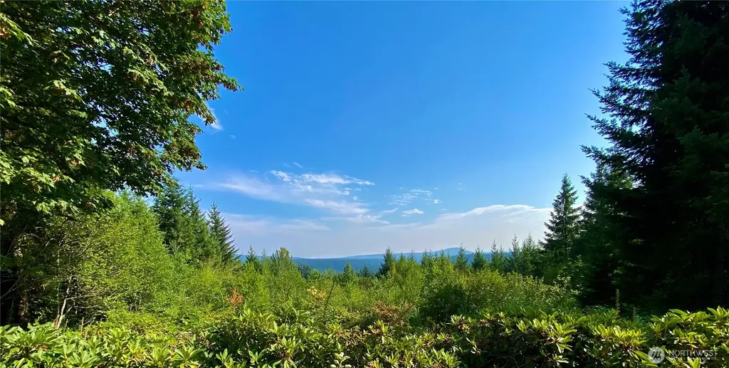 22709 NE 123rd Circle Brush Prairie WA 98606