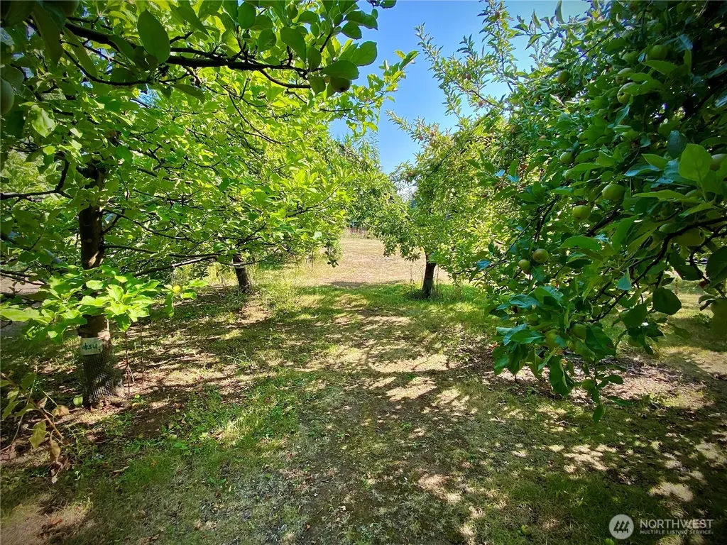 22709 NE 123rd Circle Brush Prairie WA 98606