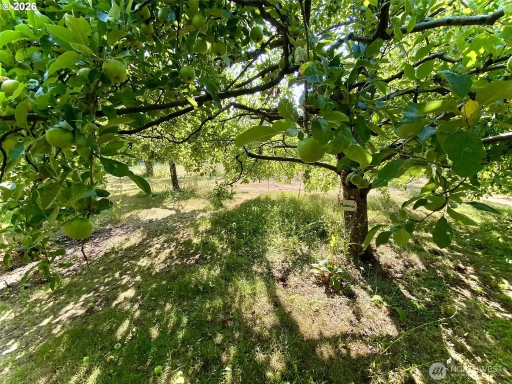 22709 NE 123rd Circle Brush Prairie WA 98606
