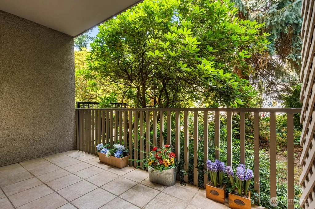 9901 NE 4th Street Bellevue WA 98004