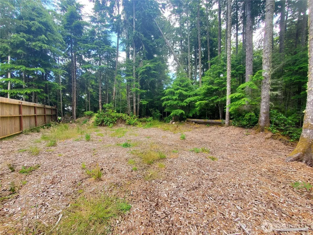 736 Chenois Avenue NE Ocean Shores WA 98569