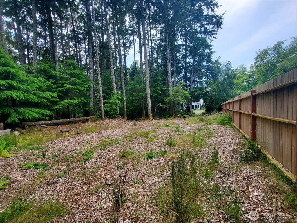 736 Chenois Avenue NE Ocean Shores WA 98569