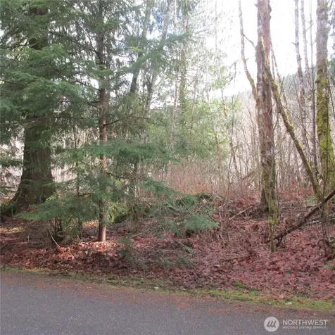 10337 Glacier Rim Drive Glacier WA 98244