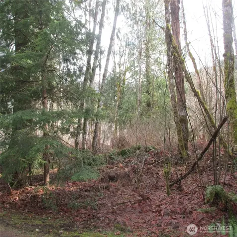 10337 Glacier Rim Drive Glacier WA 98244