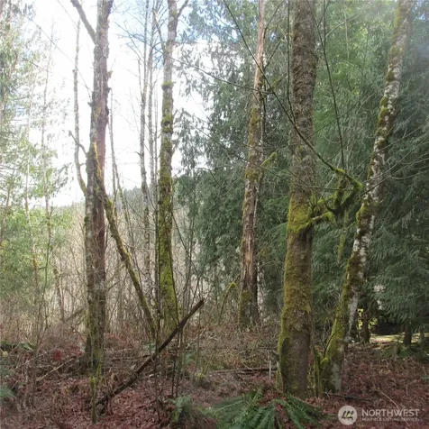 10337 Glacier Rim Drive Glacier WA 98244