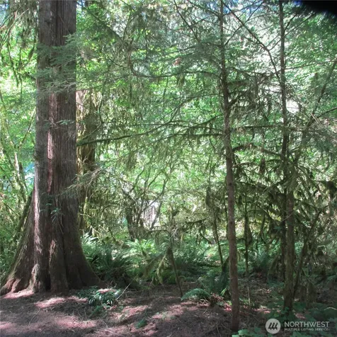 10337 Glacier Rim Drive Glacier WA 98244
