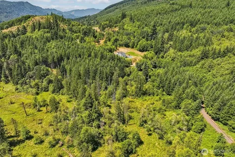 172 Mohawk Lane Amboy WA 98601