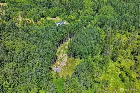 172 Mohawk Lane Amboy WA 98601