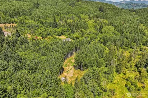 172 Mohawk Lane Amboy WA 98601