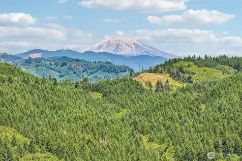 172 Mohawk Lane Amboy WA 98601