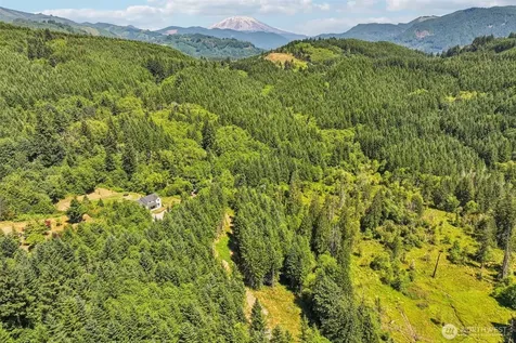 172 Mohawk Lane Amboy WA 98601