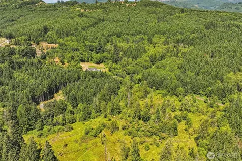 172 Mohawk Lane Amboy WA 98601