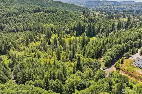 172 Mohawk Lane Amboy WA 98601