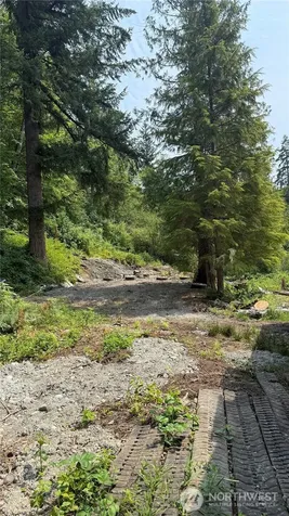 18820 220th Avenue SE Maple Valley WA 98038