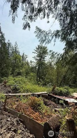 18820 220th Avenue SE Maple Valley WA 98038