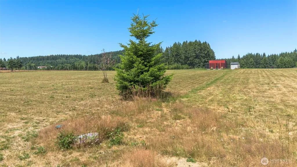 177 Nelson Road Winlock WA 98596